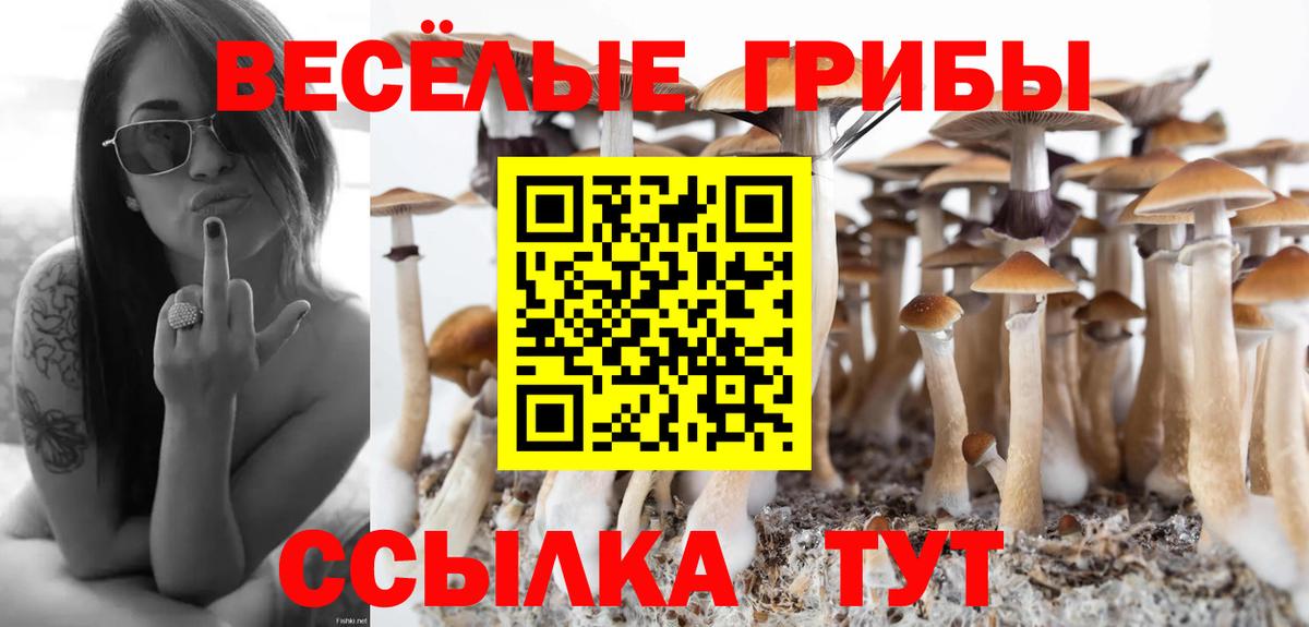 Галлюциногенные грибы прущие грибы  Вход с VPN  Псилоцибиновые грибы Psilocybine cubensis  Избербаш 